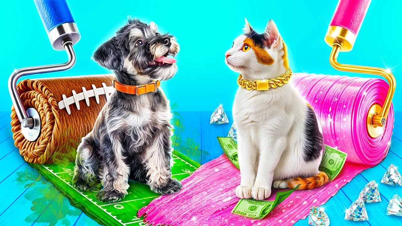 We Build a Secret Rooms for Pets! Poor Dog vs Rich Cat!