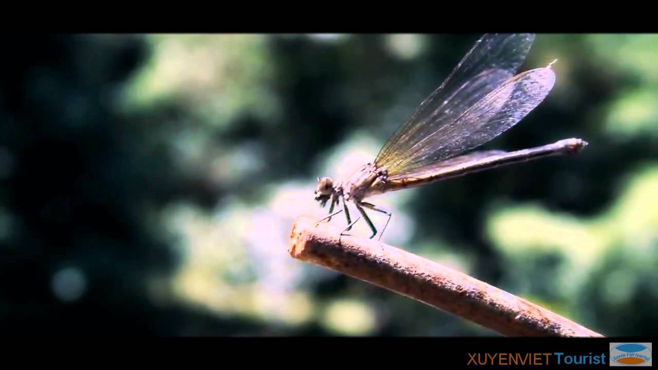 Xuyenviet Tourist Promo Clip