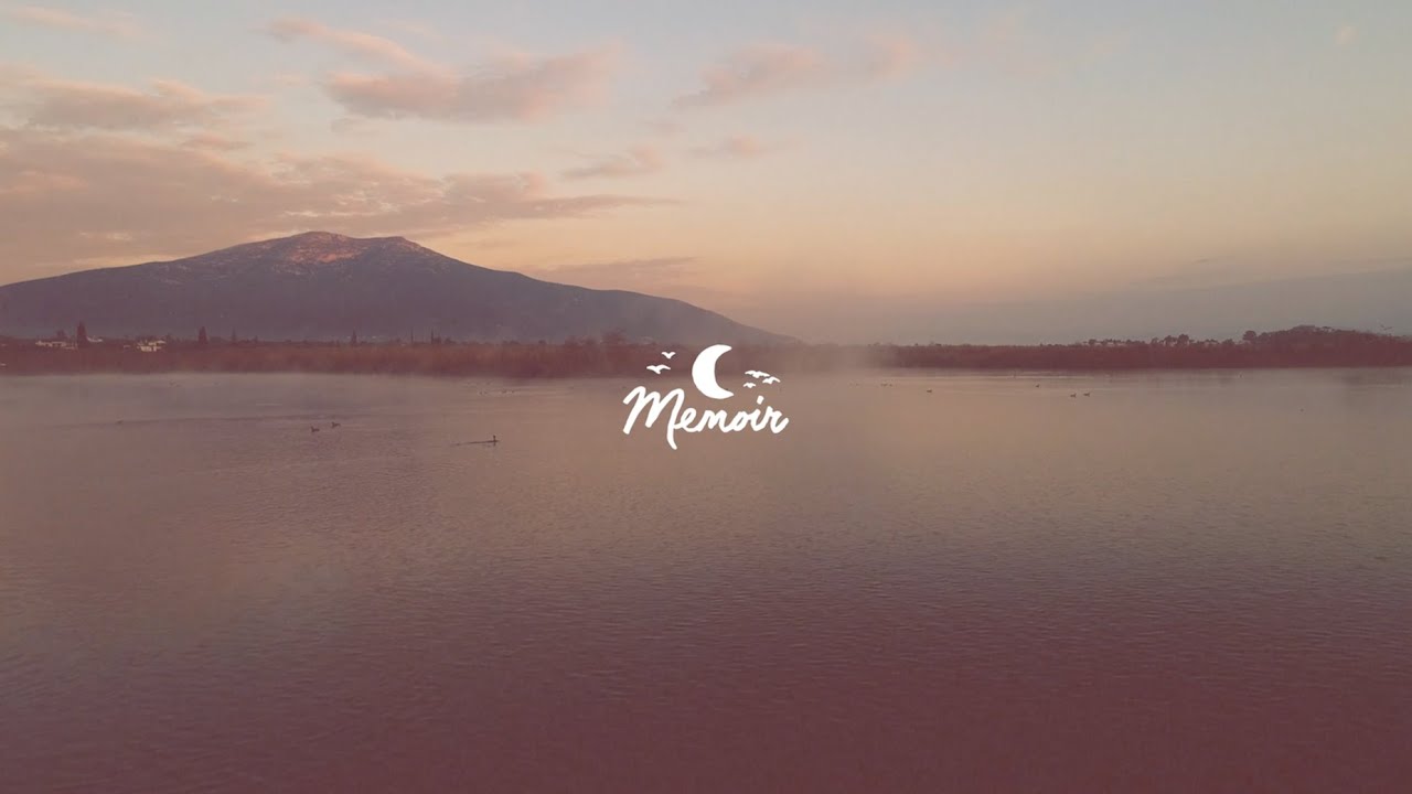 Sundrenched - from nothing to nothing - lofi guitar, folktronica & ambient 🌙