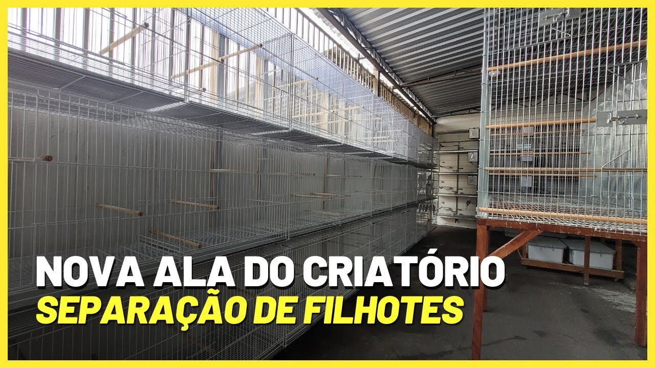 MAIS UMA ALA CONCLUÍDA & um papo sobre gaiolas (comprar x fazer)