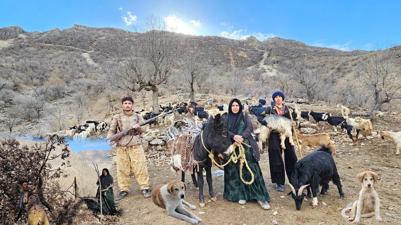 The Real Life of Mountain Nomads | Firewood, Goats, and Difficult Paths