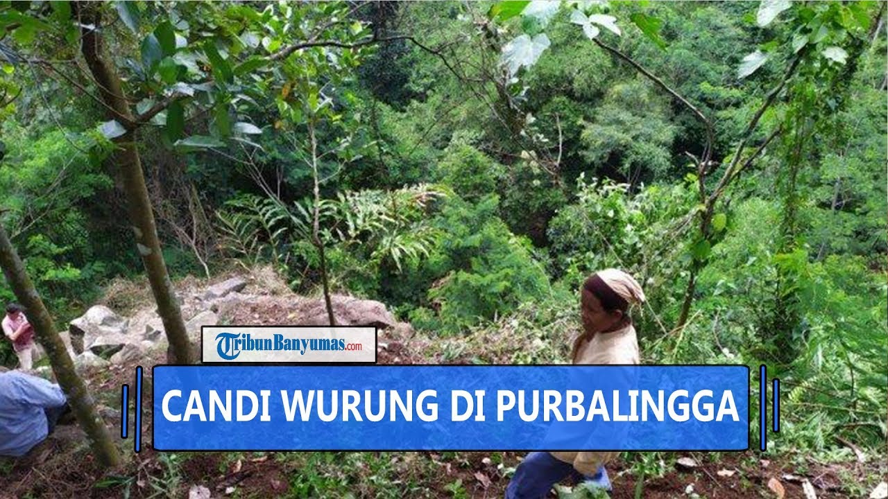 Penemuan Candi di Purbalingga