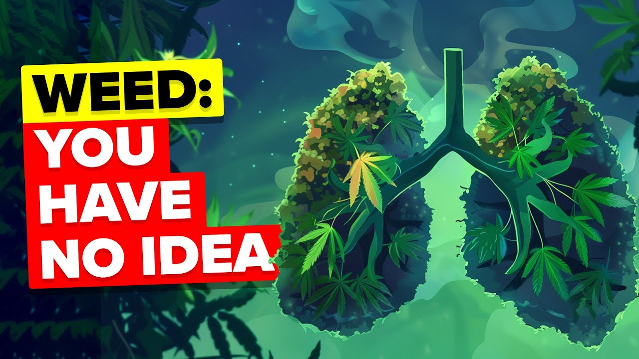 50 Insane Facts About Weed (Compilation)