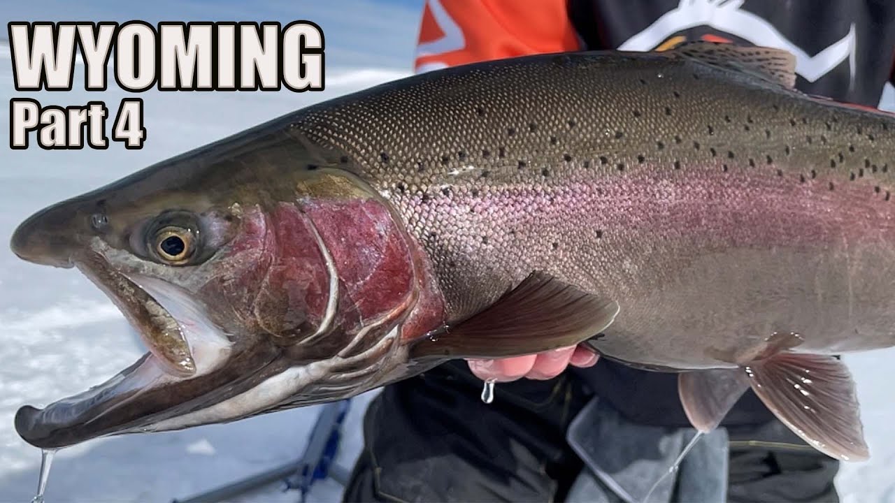 MY HARDEST FIGHT YET & NON STOP ACTION - Ice Fishing Wyoming for LARGE TROUT and catching CUTTHROAT