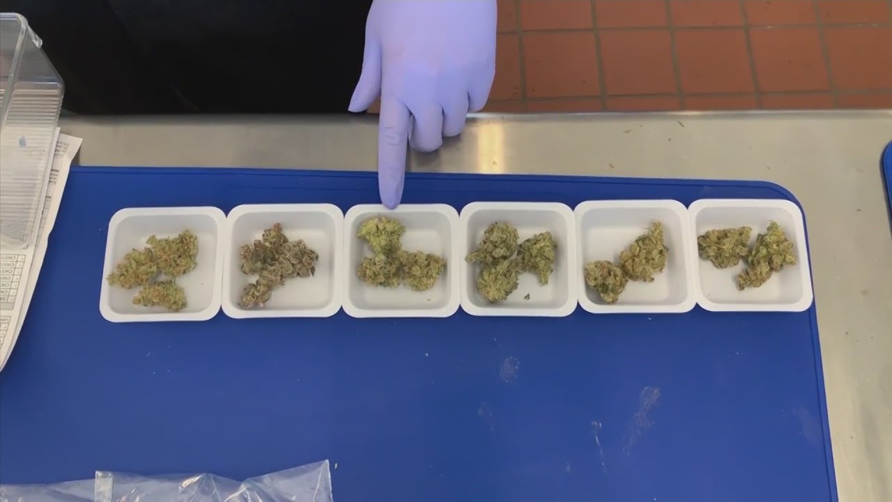 Despite new law, no pot allowed in Chicago public housing