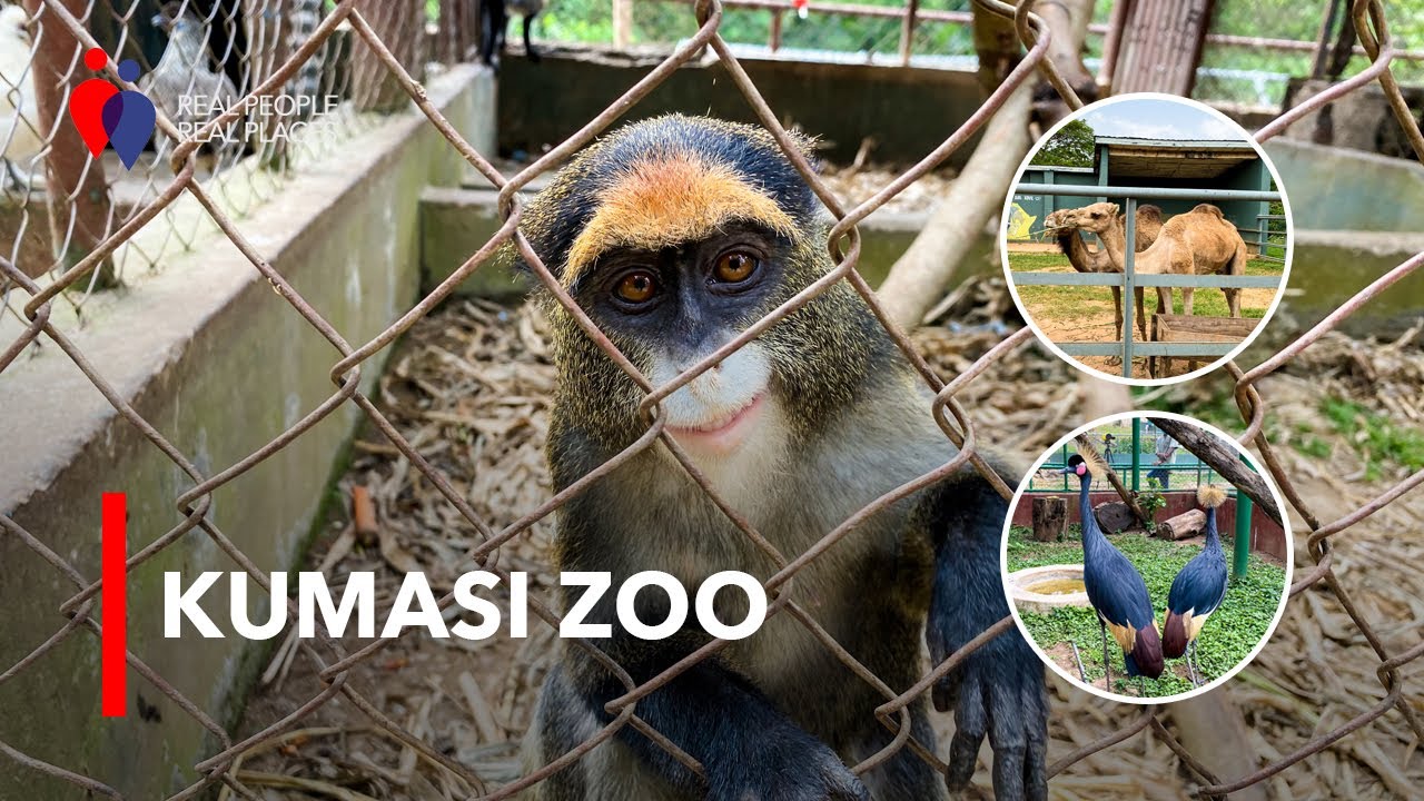 Ghana's First Premiere Zoo | Kumasi Zoo | Full Tour