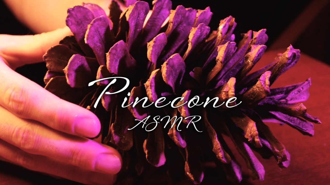 ASMR Fresh & Crisp Pinecone Sounds to Help You Sleep Soundly (gentle tapping and scraping)