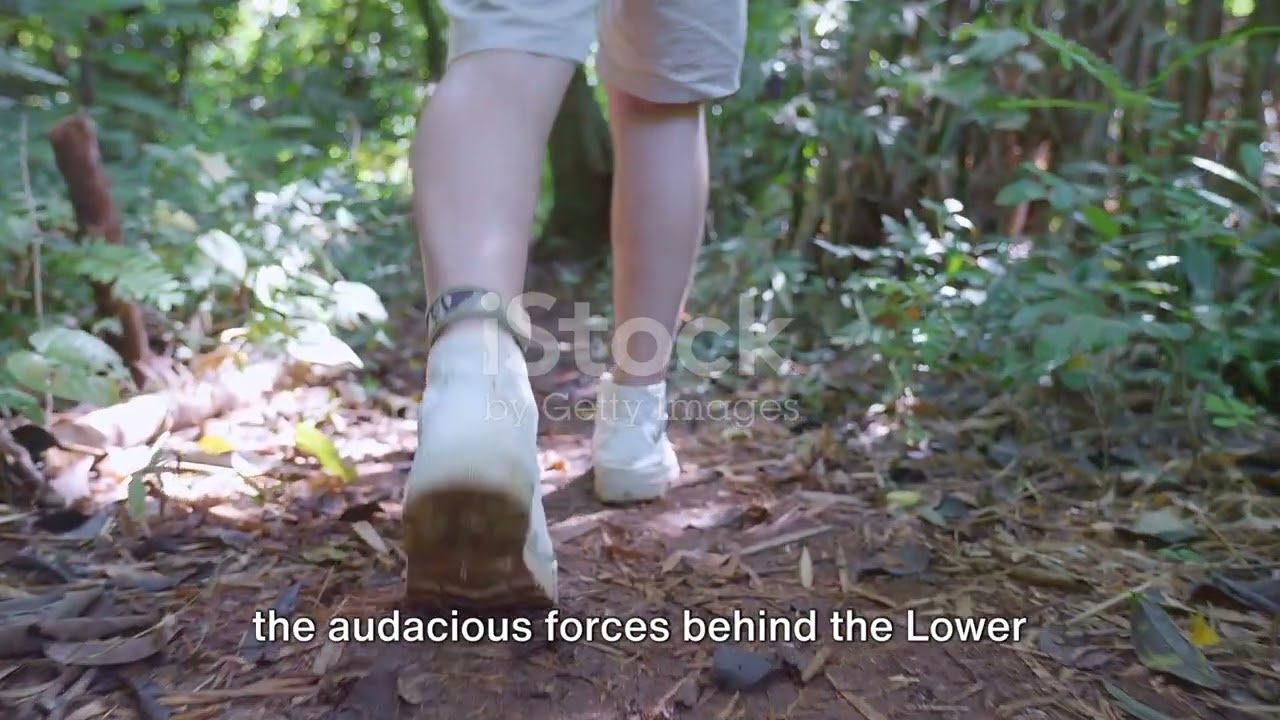 Bigfoot Chronicles  The Lower Michigan sasquatch research team