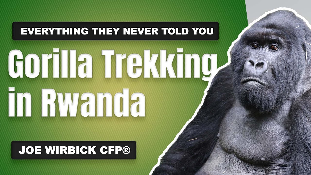 Gorilla Trekking in Rwanda