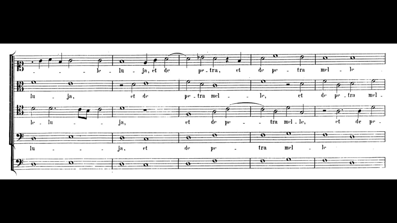 W. A. Mozart - Cibavit eos, K. 44/73u (Score)
