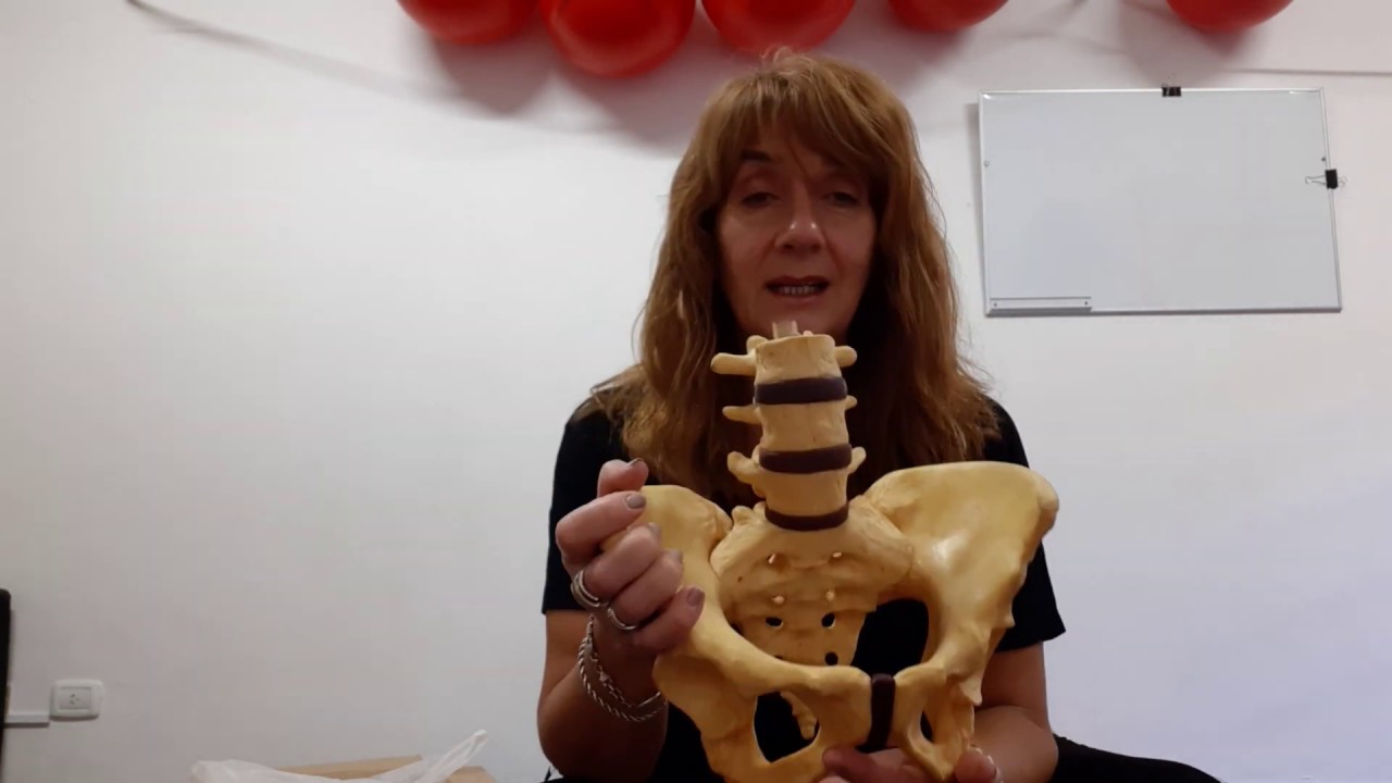 MOVIMIENTOS INTR&Iacute;NSECOS DE LA PELVIS: NUTACI&Oacute;N Y CONTRANUTACI&Oacute;N
