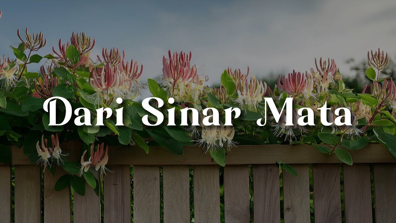 BPR - Dari Sinar Mata (Lirik)  || Mix -  Aduhai ! Seribu Kali Sayang,  Bernafas Dalam Lumpur
