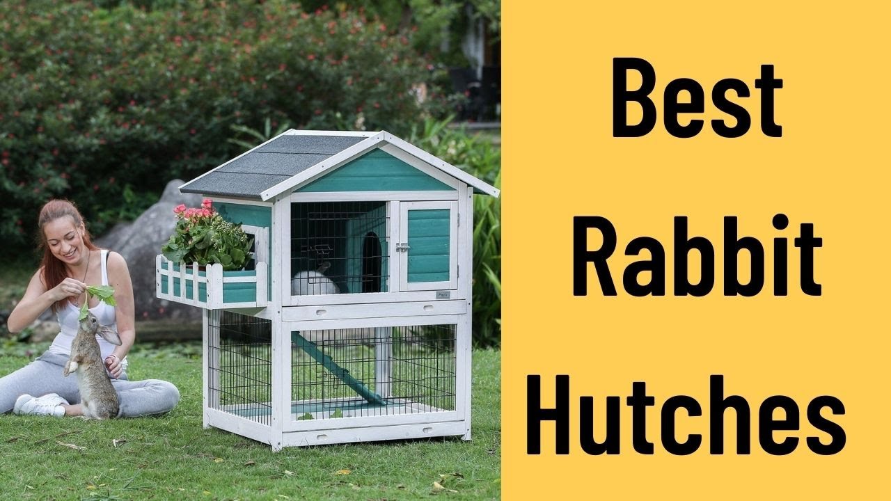5 Best Indoor & Outdoor Rabbit Hutches [Reviews 2024 ]