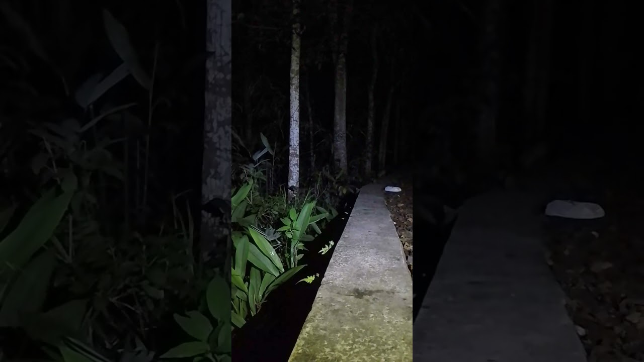 tah apa yang di pikarkan sama kalian🤔