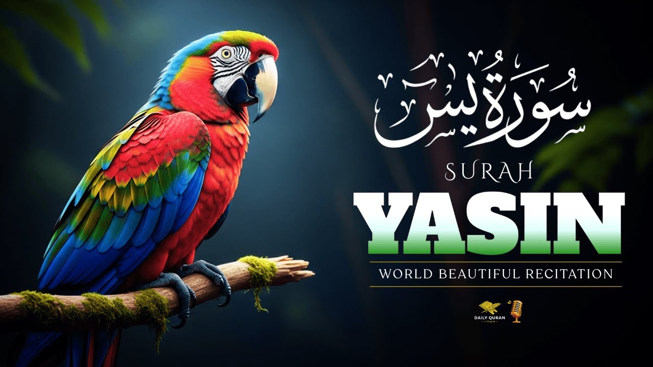 Surah YaSin – سورة يس | World Most Beautiful Recitation That Will Touch Your Heart| Daily Quran