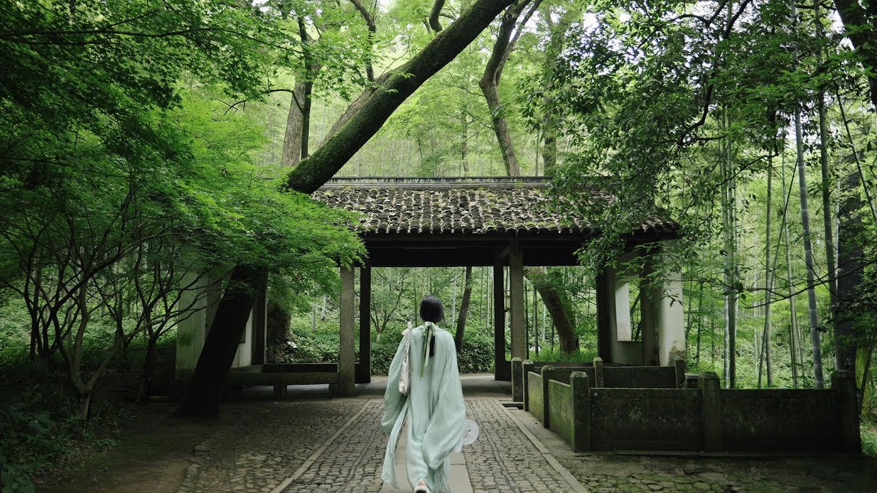 「4k」Hangzhou Yunqi Bamboo Path Tour｜杭州云栖竹径