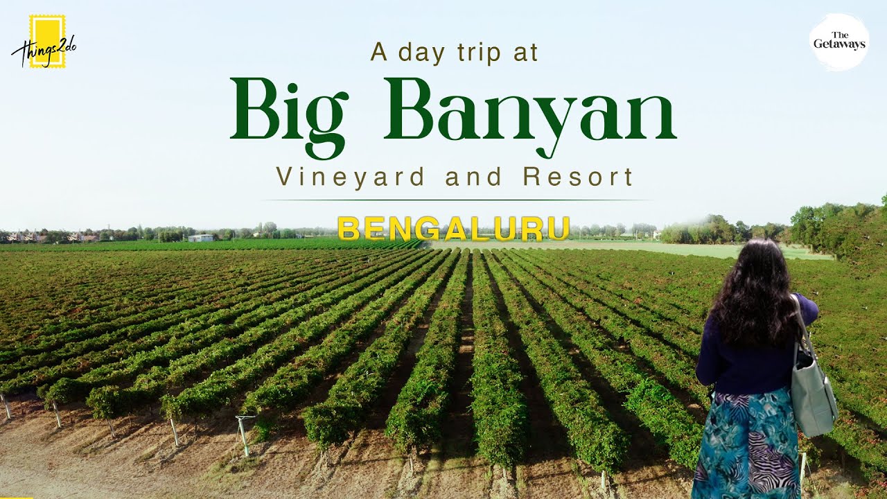 A day at Big Banyan Vineyard || Wine Tasting || Vineyard Tour || Bangalore