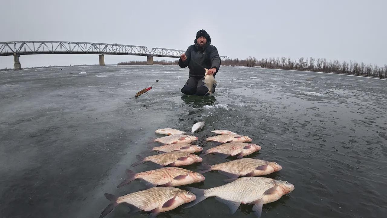 Brutale Bisse am Fluss – Leine kracht! Mit simplen Montagen fängst du säckeweise große Fische!