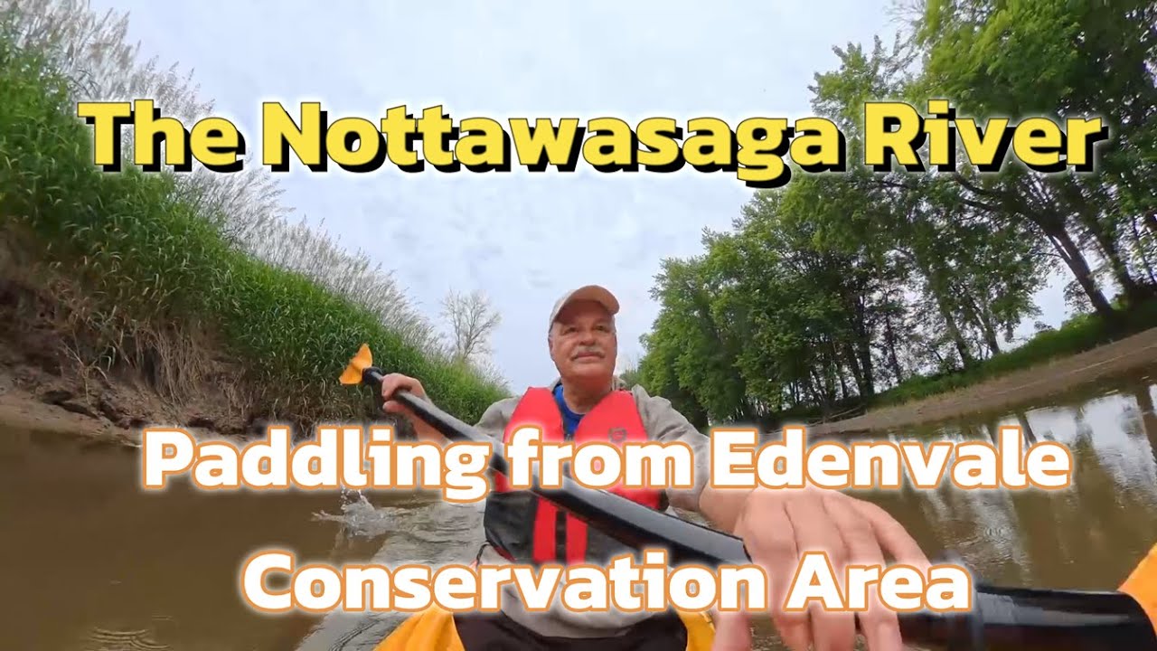 Kayaking on the Nottawasaga River from Edenvale Conservation Area