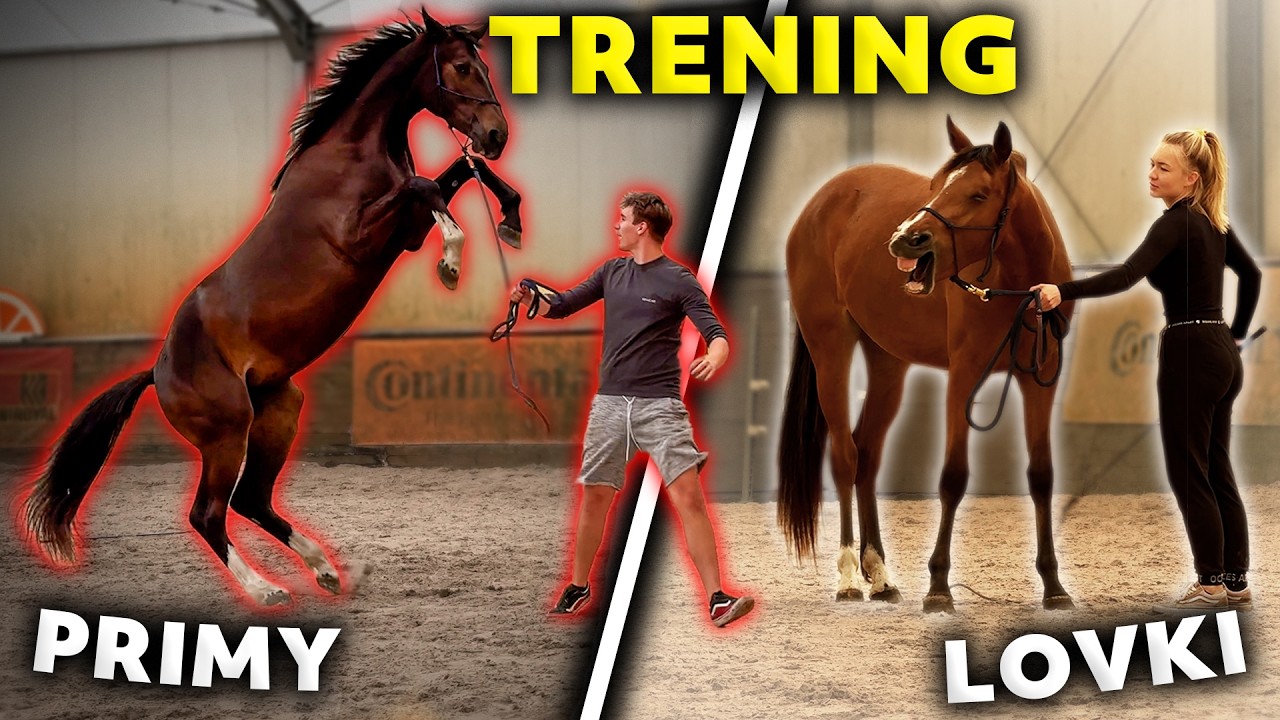 OLA MUDRY NA DILI! | LOVKA ZACZYNA PRAWDZIWY TRENING