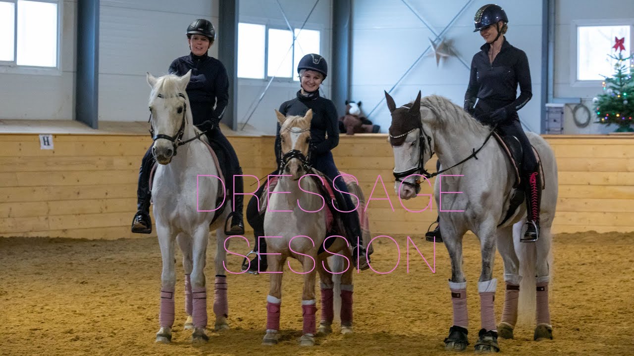 Dressage Session