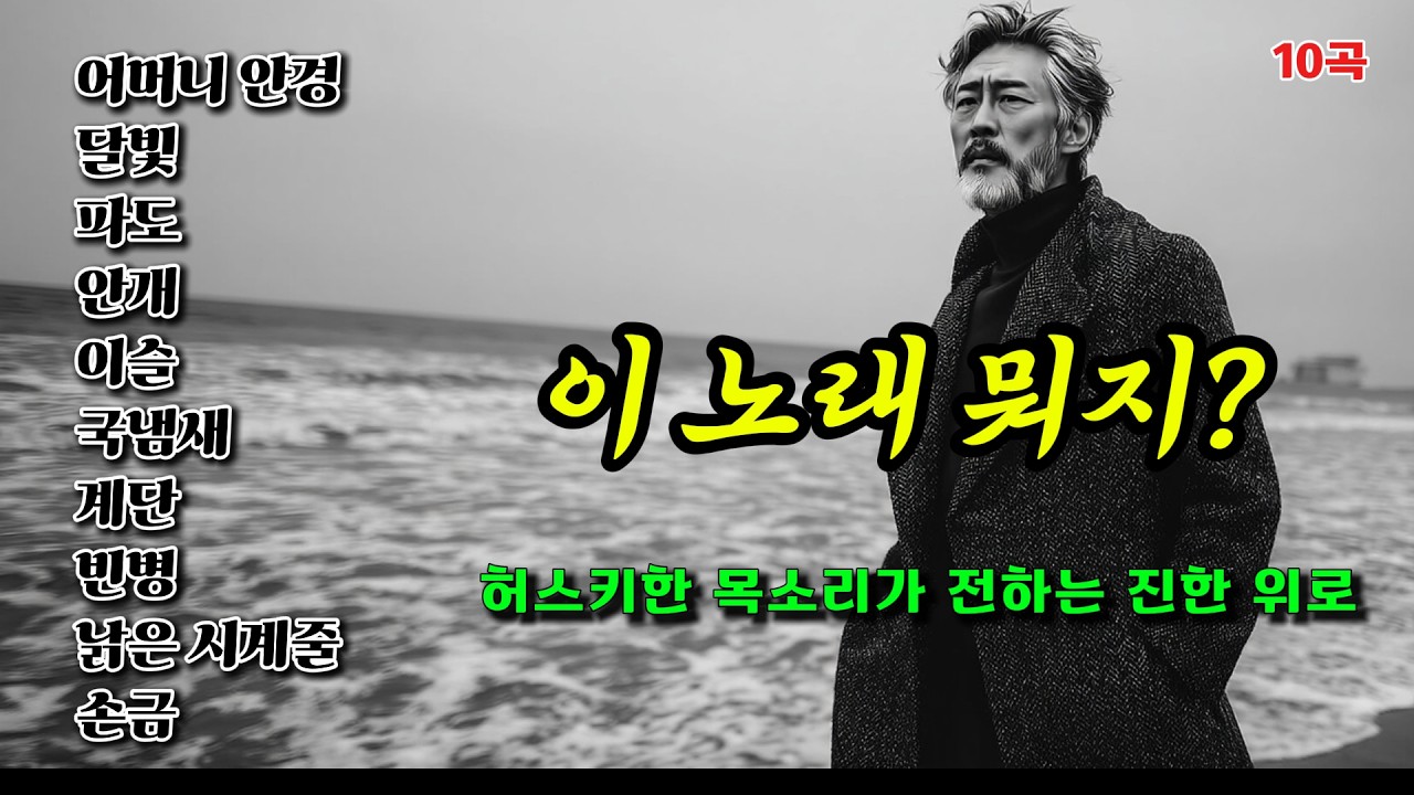이 노래 뭐지? | 허스키한 목소리가 전하는 진한 위로 | 중년을 위한 트롯발라드 10곡 모음