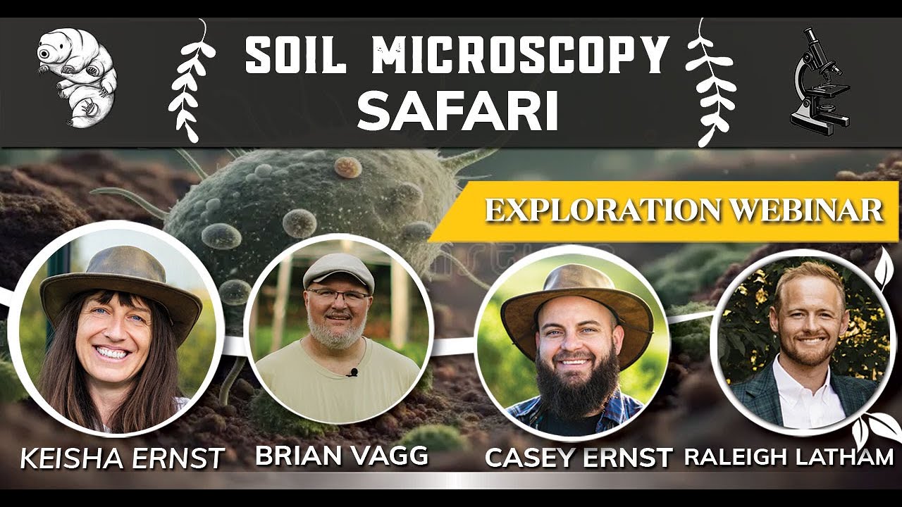 Soil Biology Microscope Safari! (See Soil Life Up Close)