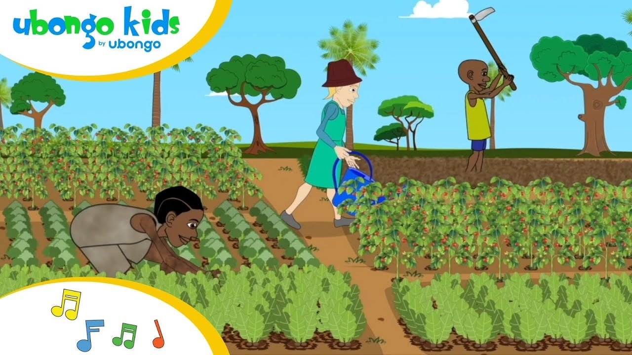 Kilimo Chetu (Tunajivunia) | Imba na Ubongo Kids | Katuni za Kiswahili