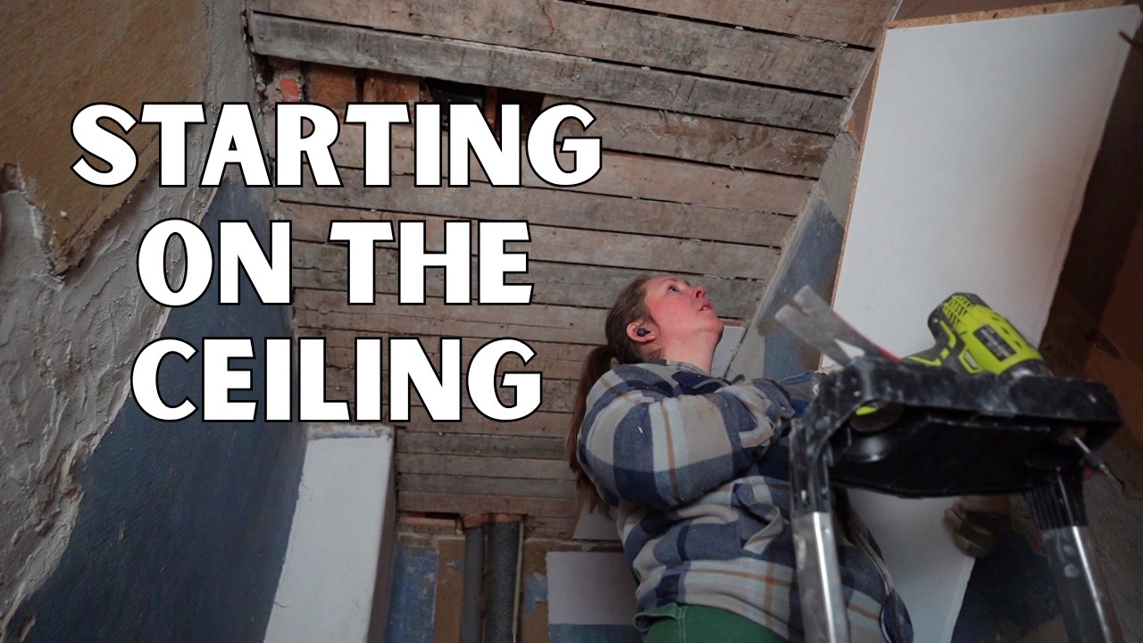 E81 Laying Borders, Testing Soil & First Steps on the Ceiling