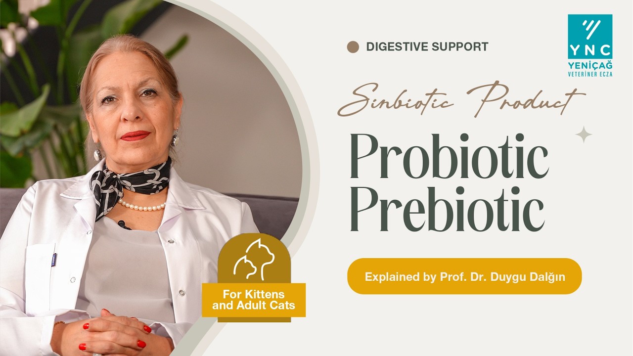 The Second Brain in Pets | Advanced Synbiotic Technology Explained – Prof. Dr. Duygu Dalğın