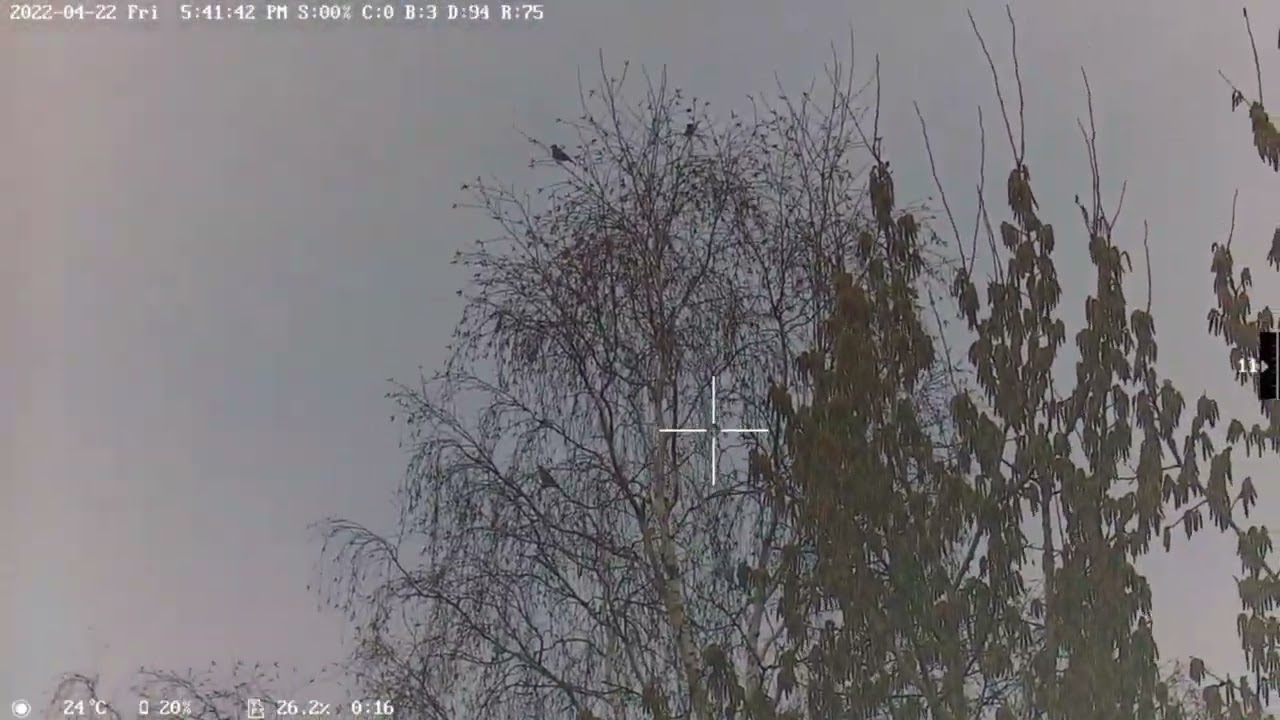 Wanney Corporation Night Vision Scope E50-II Plus, Shooting birds in Russia. Part 1/2