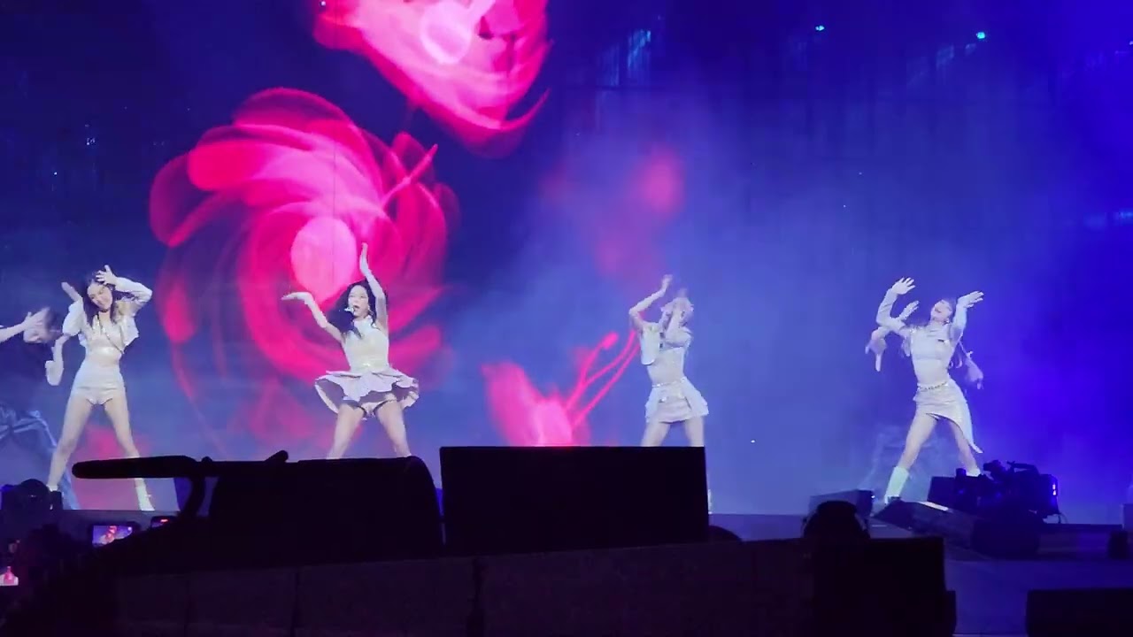 BLACKPINK (블랙핑크) - Pretty Savage - Chicago - [4K] 20221110