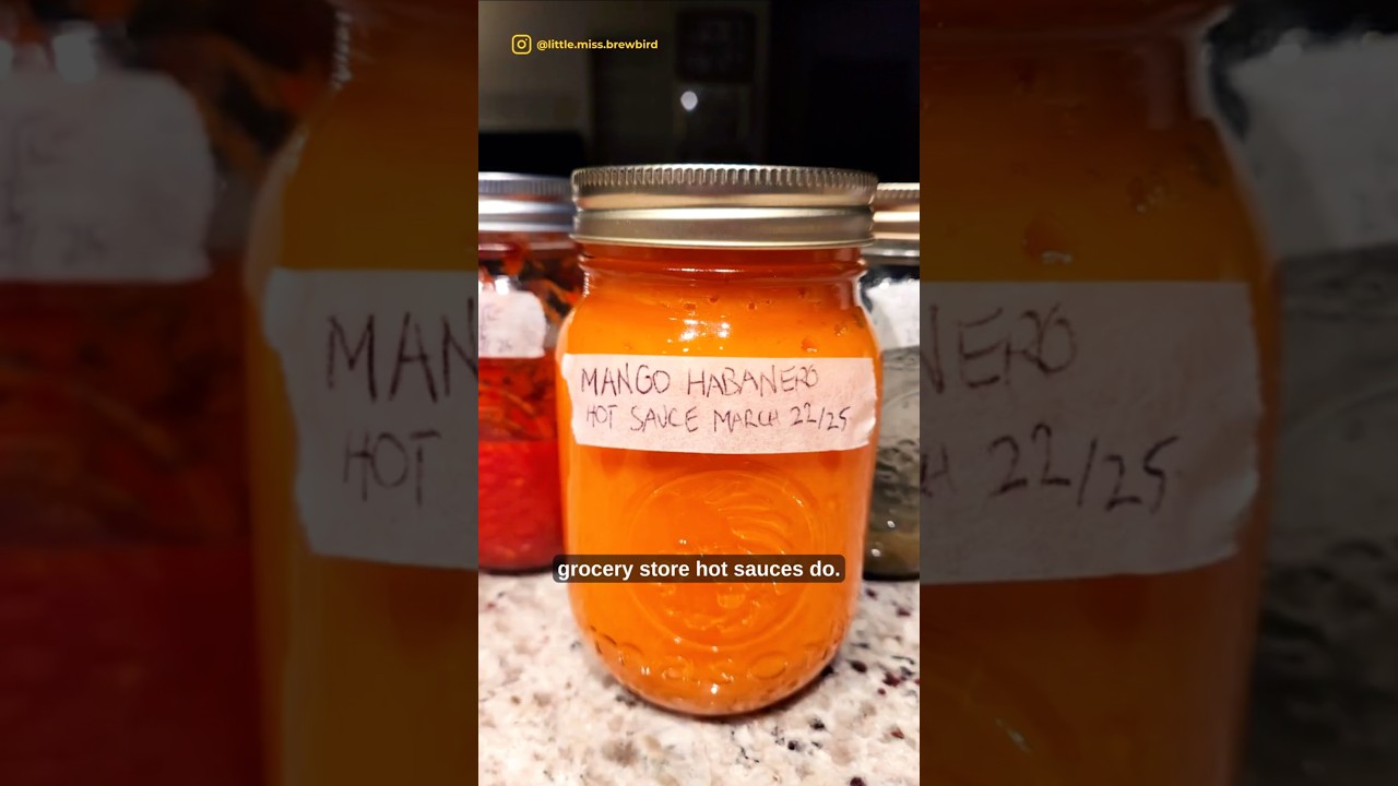 DIY Fermented Mango Habanero Hot Sauce (Day 12/365 Fermentation Challenge)