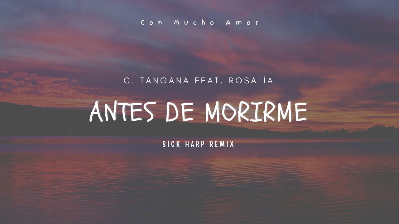 C. Tangana - Antes de morirme feat. Rosalía (Sick Harp Remix)