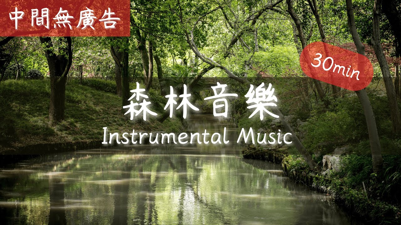 無廣告版  流水音樂   水聲音樂, 睡眠輕音樂, 白噪音, 睡眠音樂輕柔鋼琴和大自然流水聲&鳥鳴聲  讀書 & 專心 & 紓壓