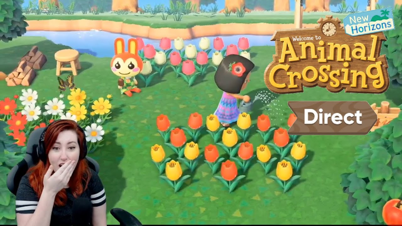 Animal Crossing: New Horizons Direct Reaction
