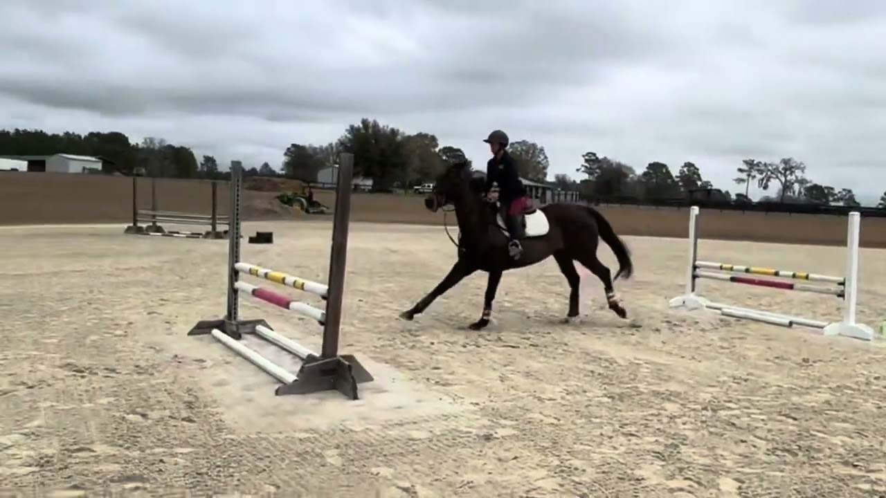 Effie - jumping