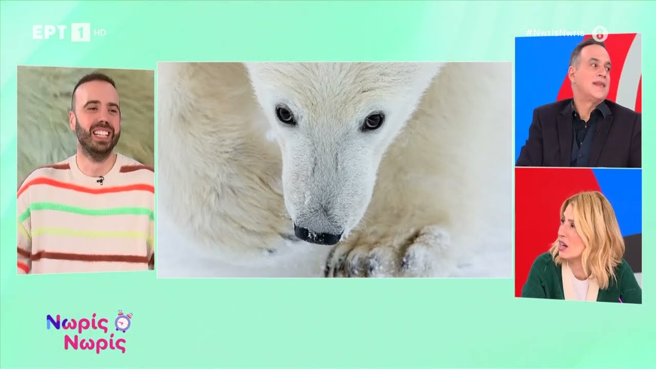 Εντυπωσιακές εικόνες από τα βραβεία «Wildlife Photographer of the Year 2026»