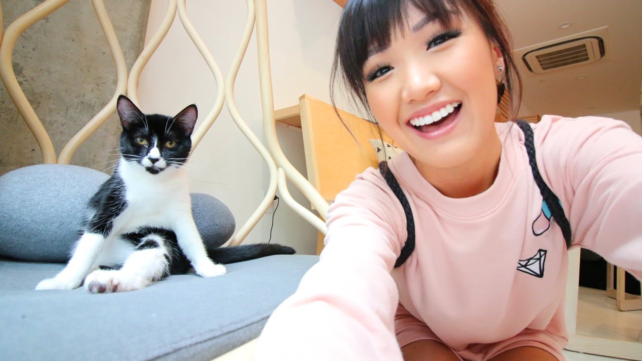 A Cat Cafe in America | WahlieTV