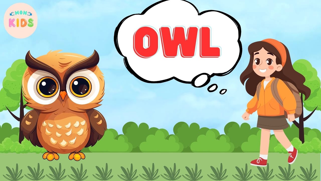 Owl Facts For Kids 🦉 Learn All About Owls | MON Kids