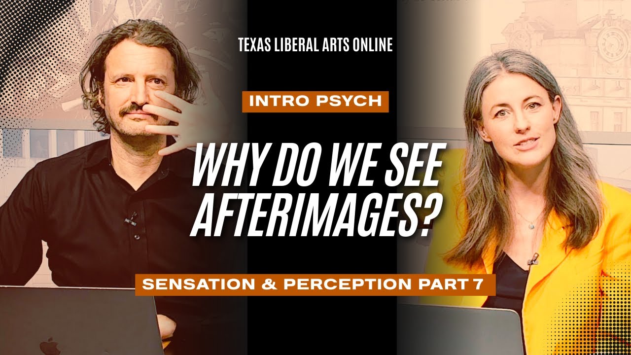 Intro Psych | Sensation & Perception part 7 | Why do we see afterimages?