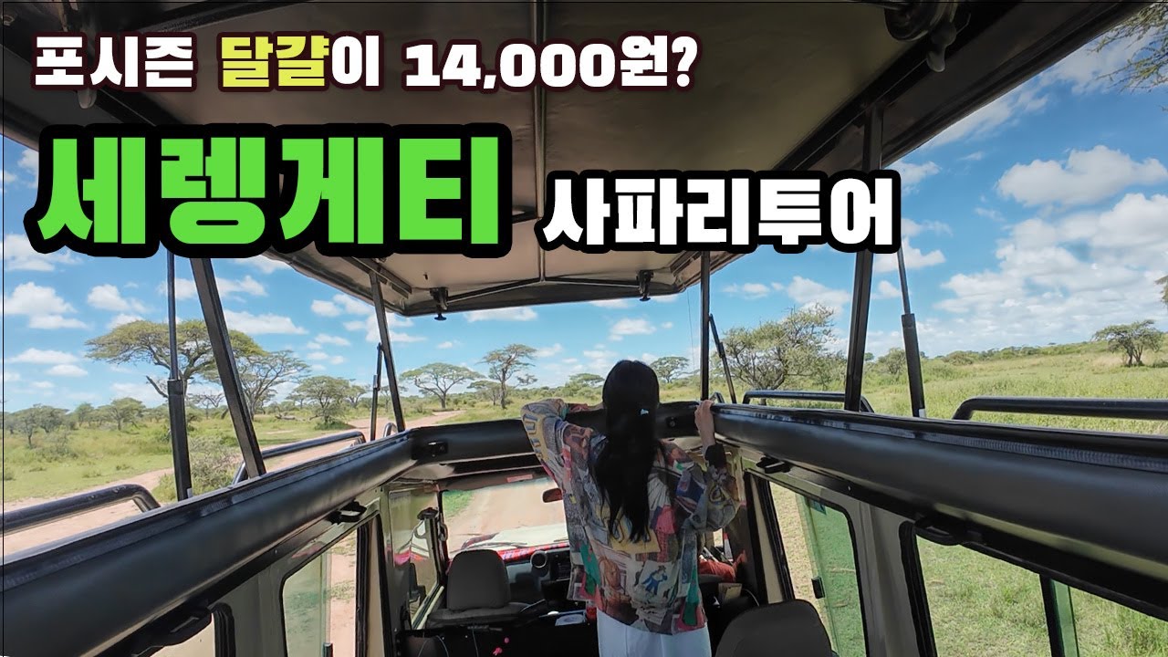 세렝게티 사파리 신혼여행 / 1박 240만원 포시즌 롯지에서