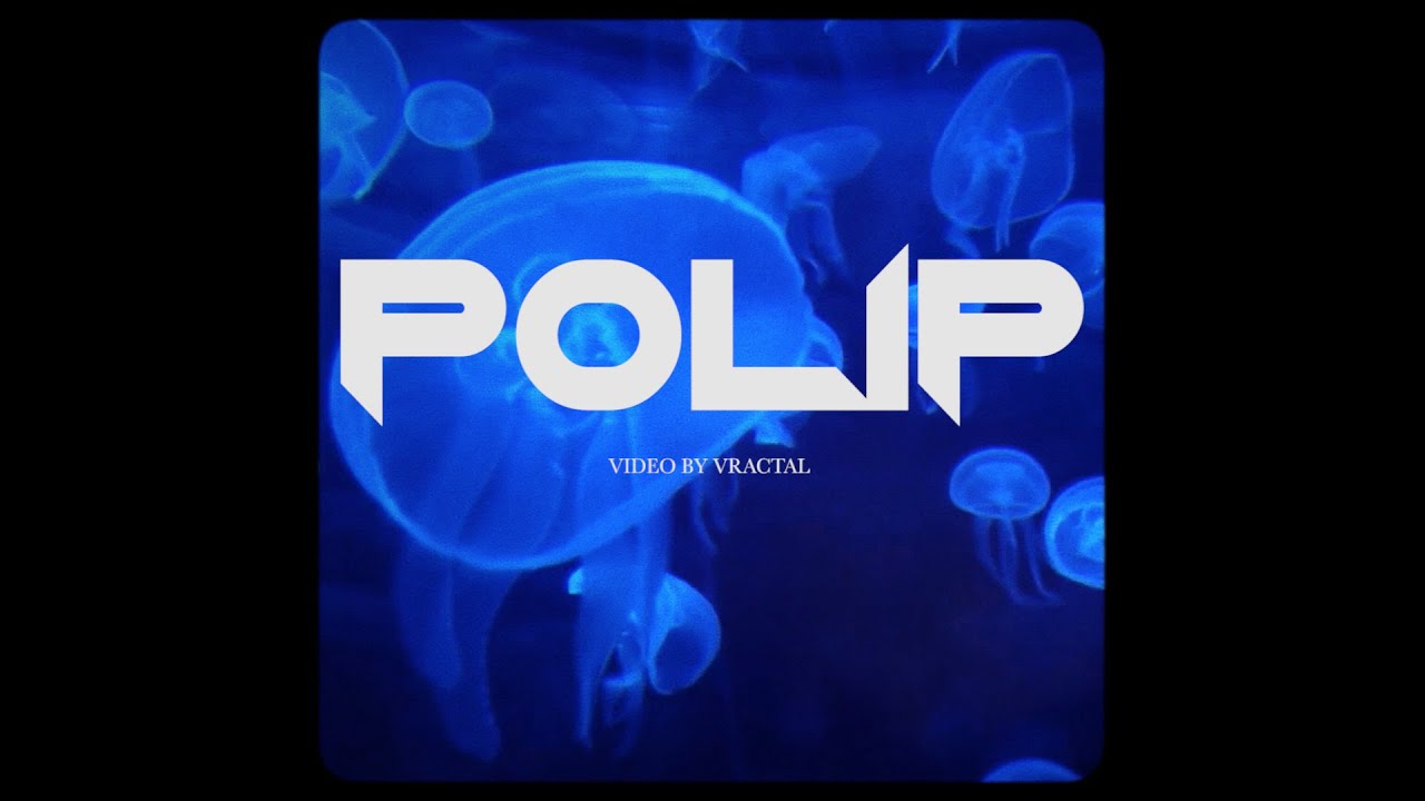 Sort Palerano - Polip [VIDEO]