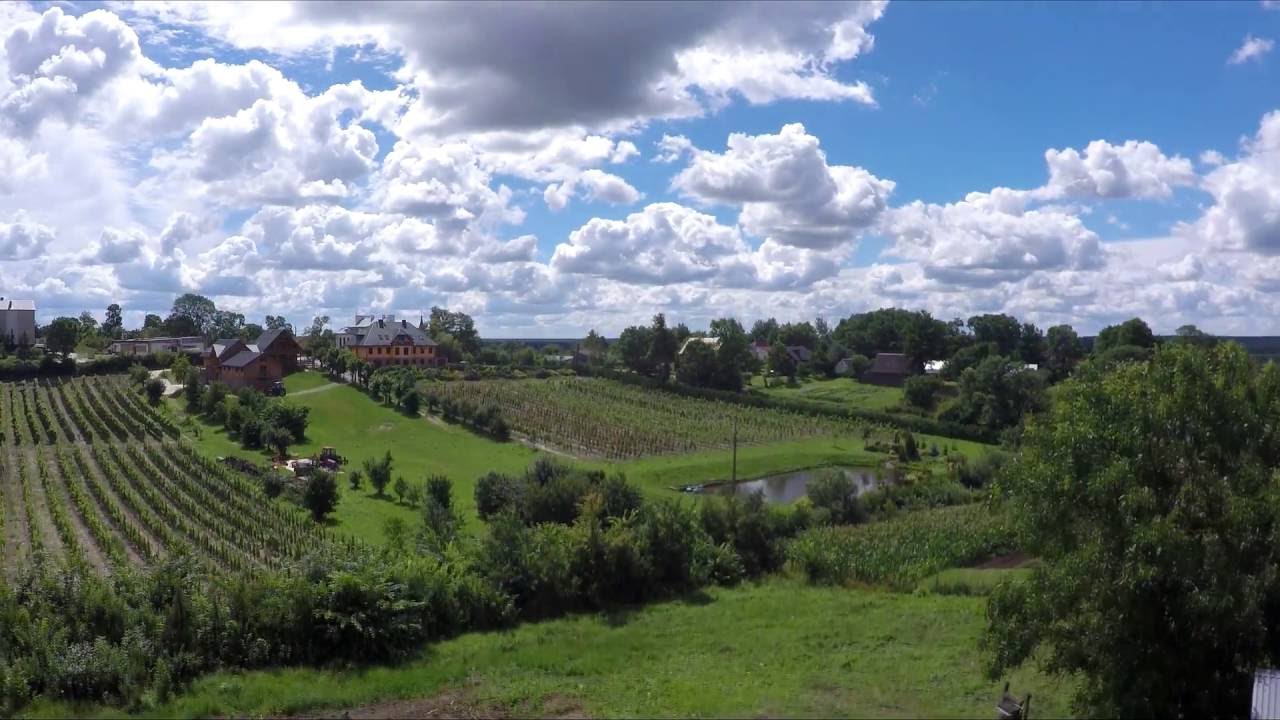 Mielnik 2016