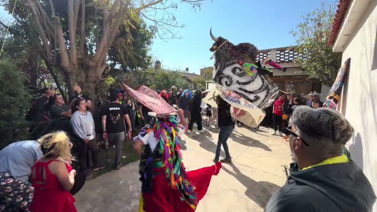 Torito de carnaval Colonia Ibarra 2026.