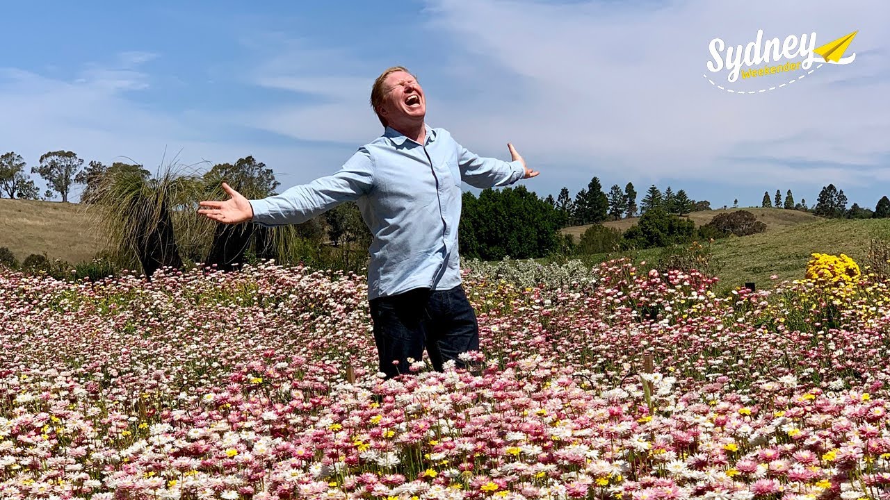 Explore the Australian Botanic Garden Mt. Annan | Sydney Weekender
