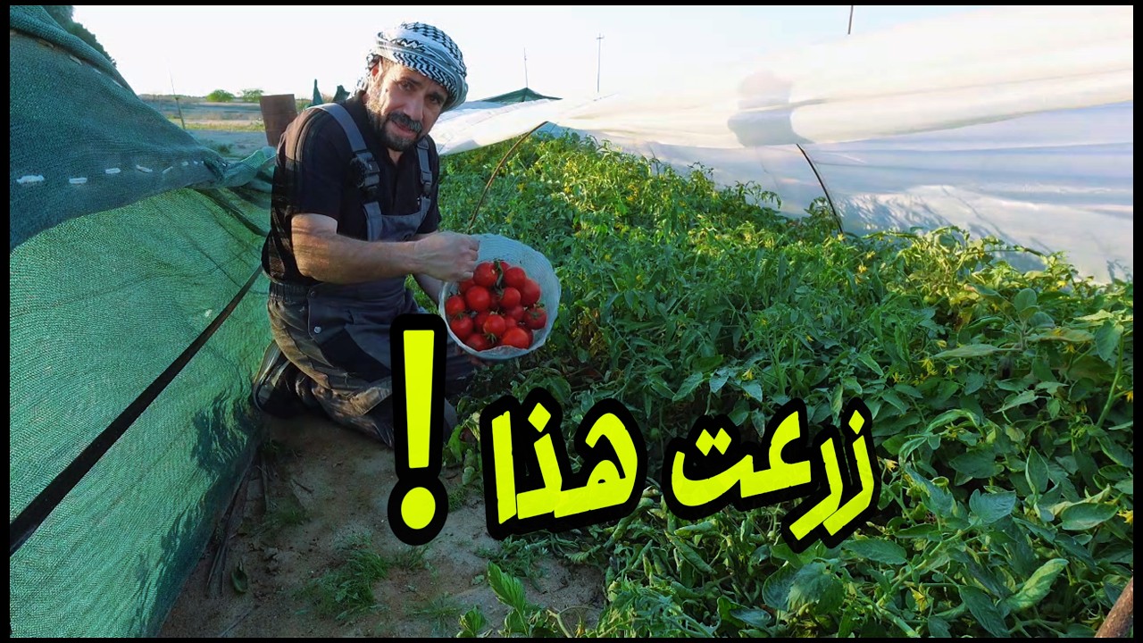 هذا ما زرعته استعدادًا لأيام الحرب (خطة كاملة)