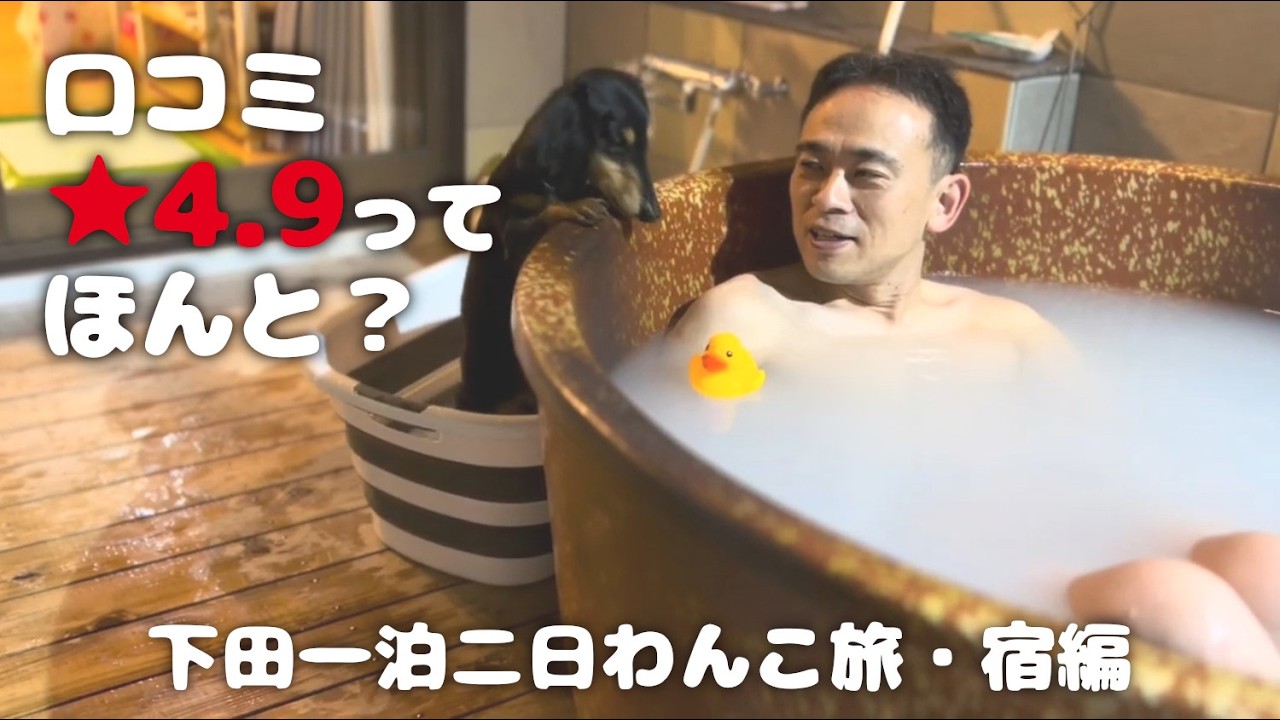 【犬連れ旅行静岡下田宿】愛犬と泊まれる温泉宿「BARON/バロン」さんが天国だった🐶🐶💕1泊2日わんこ旅2/3 2024.5