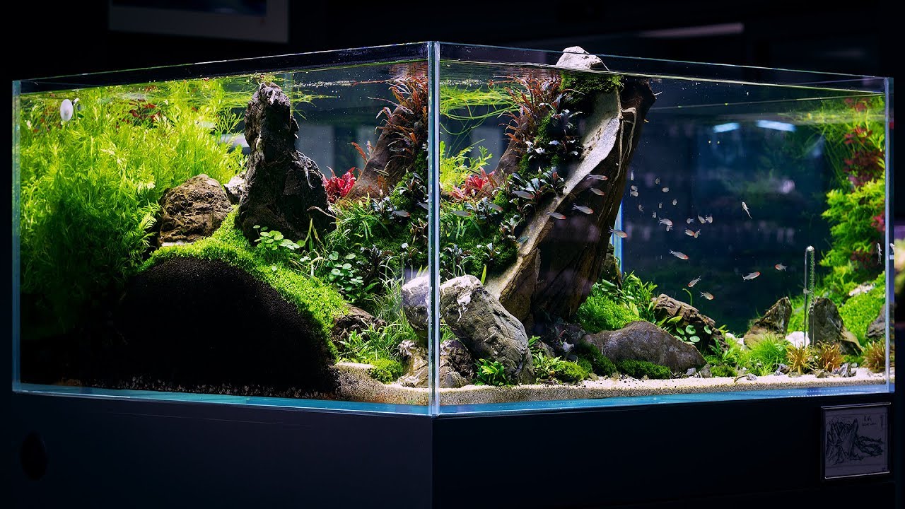 THE GREAT WALL AQUASCAPE BY DAVE CHOW - 4K CINEMATIC - GREEN AQUA