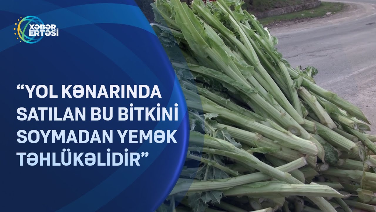 “Yol kənarında satılan bu bitkini soymadan yemək təhlükəlidir”